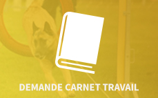 CARNET DE TRAVAIL